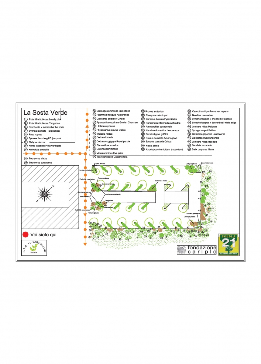 Specifica del percorso inerente la Sosta verde della Passeggiata botanica (Istituto di istruzione superiore Luigi Castiglioni) 
