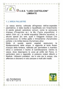 Descrizione dell’Area palustre della Passeggiata botanica (Istituto di istruzione superiore Luigi Castiglioni) 