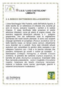 Descrizione del Bosco e del Sottobosco della scarpata della Passeggiata botanica (Istituto di istruzione superiore Luigi Castiglioni) 