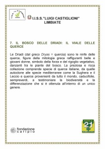 Descrizione del Viale delle querce della Passeggiata botanica (Istituto di istruzione superiore Luigi Castiglioni) 