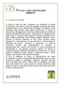 Descrizione della Sosta verde della Passeggiata botanica (Istituto di istruzione superiore Luigi Castiglioni) 